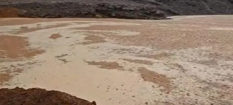 وزير الزراعة يوجه بتقديم الدعم الفني العاجل لمتضرري السيول بتجمع وادي سعال بسانت كاترين