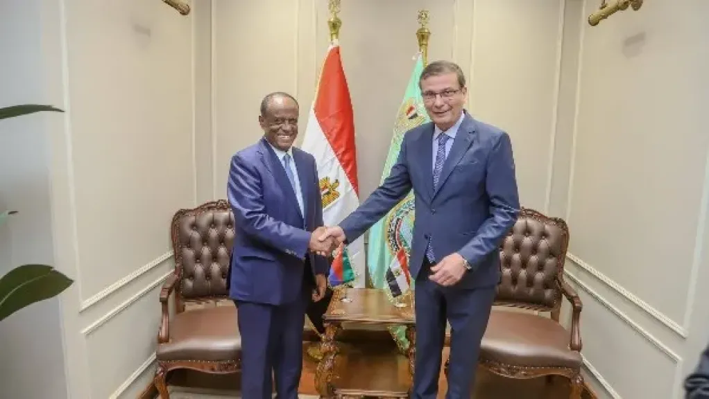 علاء فاروق: توجيهات رئاسية بتقديم الدعم الفني ونقل الخبرات الزراعية للأشقاء في إريتريا