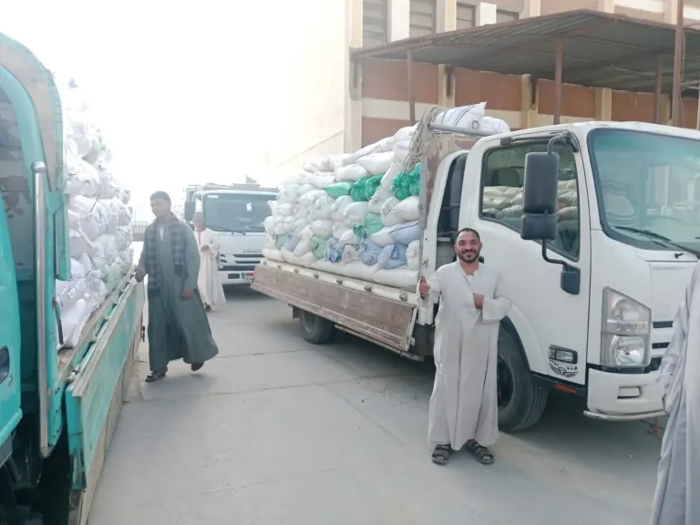 تموين الأقصر: استلام 152.2 طن من القمح المحلي خلال 48 ساعة ضمن موسم التوريد