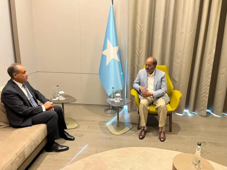 وزير الخارجية يؤكد للرئيس الصومالي مواصلة دعم مصر للصومال وتعزيز الشراكة الإستراتيجية بين البلدين