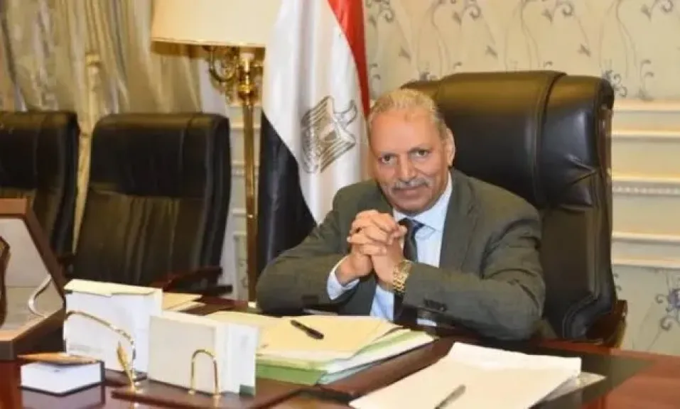 وكيل ”دفاع النواب”: سرعة ضبط خاطفة رضيعة الحسين تؤكد كفاءة الأجهزة الأمنية