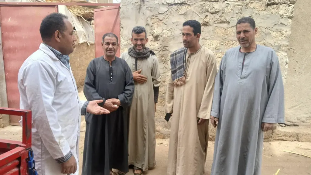 محافظ أسيوط: تحصين أكثر من 113 ألف رأس ماشية خلال 3 أسابيع لتعزيز الأمن الغذائي