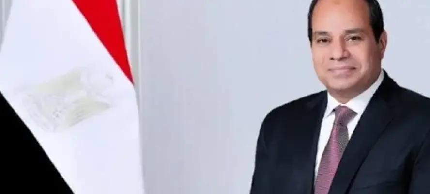 الرئيس السيسي يستقبل سكرتير عام “الإيكاو” ويبحثان تطوير قطاع الطيران المدني