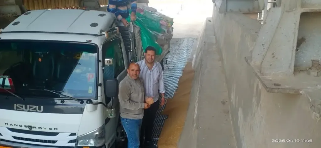 تموين كفر الشيخ: ارتفاع الكميات الموردة من القمح المحلي إلى 1120 طنا