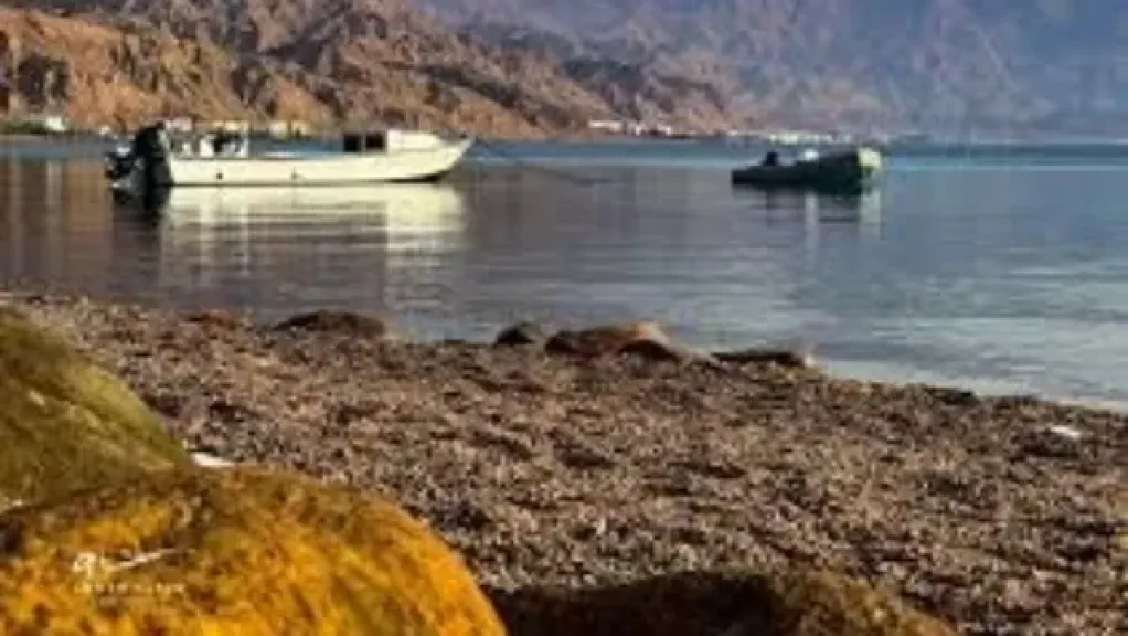 بعد القضاء على الإرهاب .. طفرة تنموية كبرى في سيناء |تفاصيل