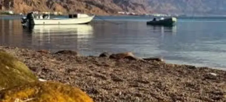 بعد القضاء على الإرهاب .. طفرة تنموية كبرى في سيناء |تفاصيل