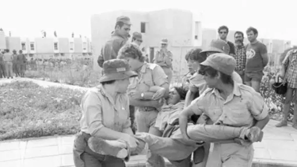 عبدالله جهامة: سيناء استعادت مكانتها بالتضحيات.. والتنمية الحالية غير مسبوقة وتحتاج زيادة الكثافة السكانية