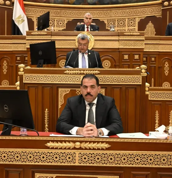 رئيس طاقة الشيوخ يستعرض مشروع قانون التأمينات والمعاشات
