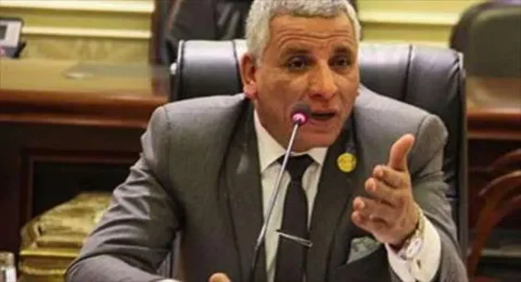 محمد عبد الفتاح: تحرير سيناء ملحمة وطنية تجسد قوة الدولة المصرية ورسائل الرئيس تؤكد ثبات الموقف المصري إقليميًا