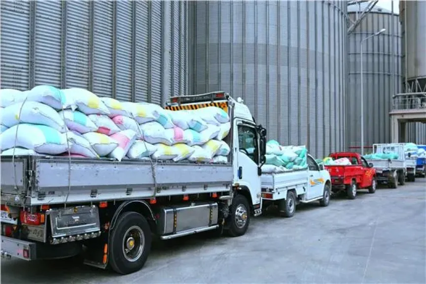 البحيرة تواصل توريد القمح 12200 طن لشون والصوامع