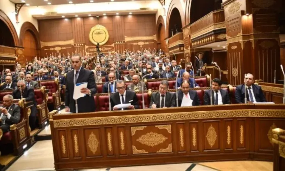 النائب رجائي عزت يطالب برفع مخصصات الصحة في الموازنة الجديدة لتحقيق العدالة العلاجية