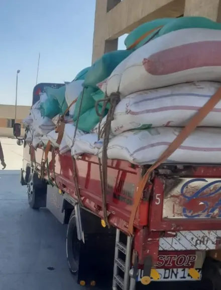 توريد 28 ألف طن قمح لمواقع التخزين والصوامع بالدقهلية.. صور