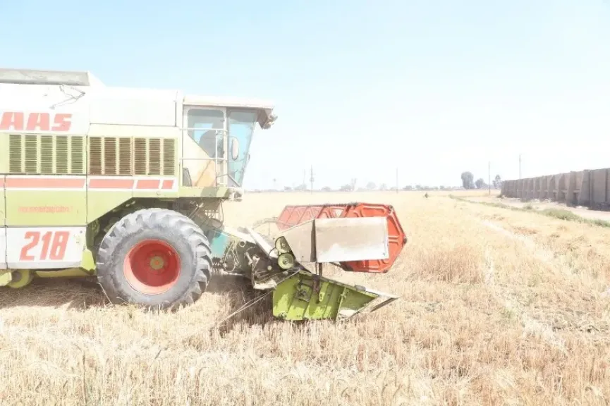 محافظ الشرقية يتابع حصاد القمح ويتفقد مشروع تسمين الماشية بأبو حماد.. صور