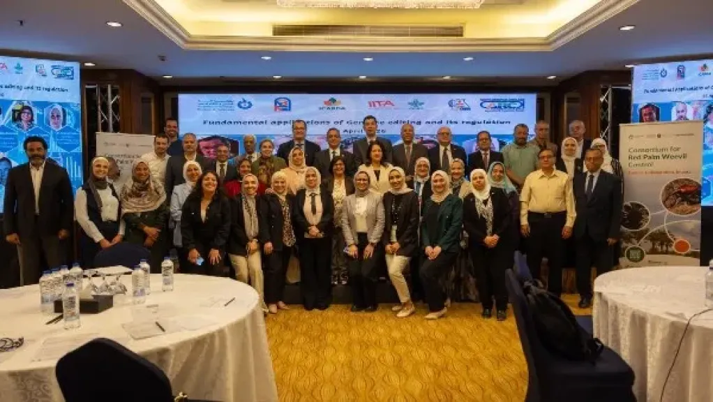 أكاديمية البحث العلمي تطلق تدريبًا متخصصًا حول تطبيقات التحرير الجيني للابتكار الزراعي