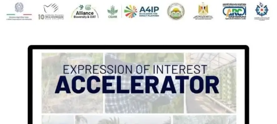 أكاديمية البحث العلمي تطلق دعوة لمسرّعات الأعمال لدعم الابتكار الزراعي في مصر