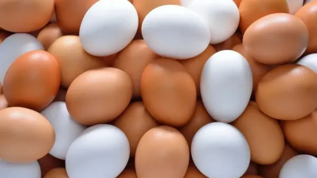 استشاري تغذية: البيض مصدر رائع للبروتين ومينفعش نمنع الخضروات من نظامنا الغذائي