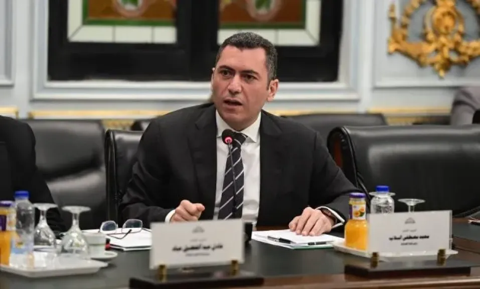 محمد السلاب: التحول للطاقة الشمسية يحقق وفرا ملموسا للصناعة ويعزز تنافسيتها خاصة في الأسواق الأوروبية