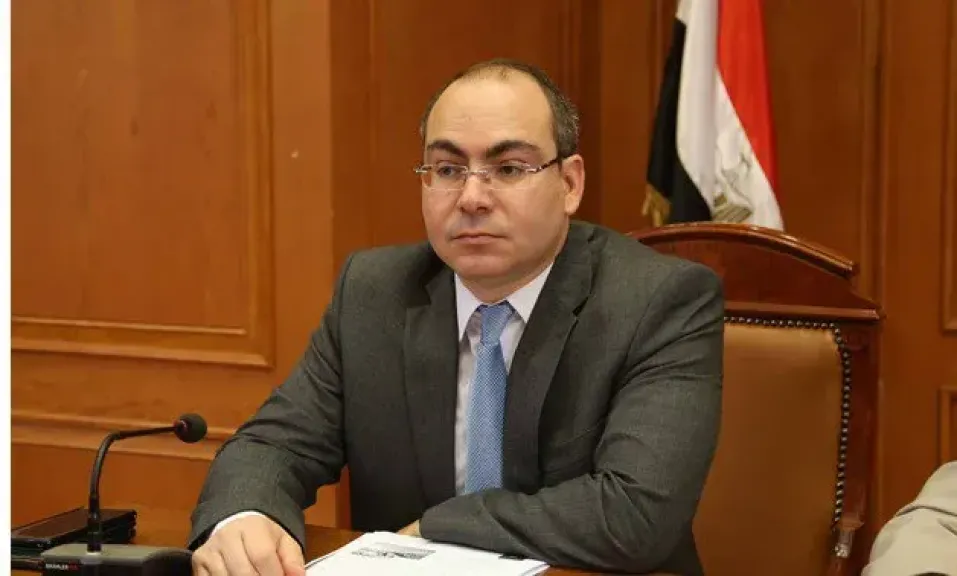 النائب محمد رشوان: القاهرة والرياض ركيزتان أساسيتان للاستقرار في المنطقة