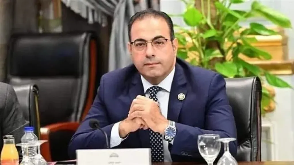 حزب مستقبل وطن يجدد الثقة في الدكتور محمود حسين أمينا للمصريين بالخارج