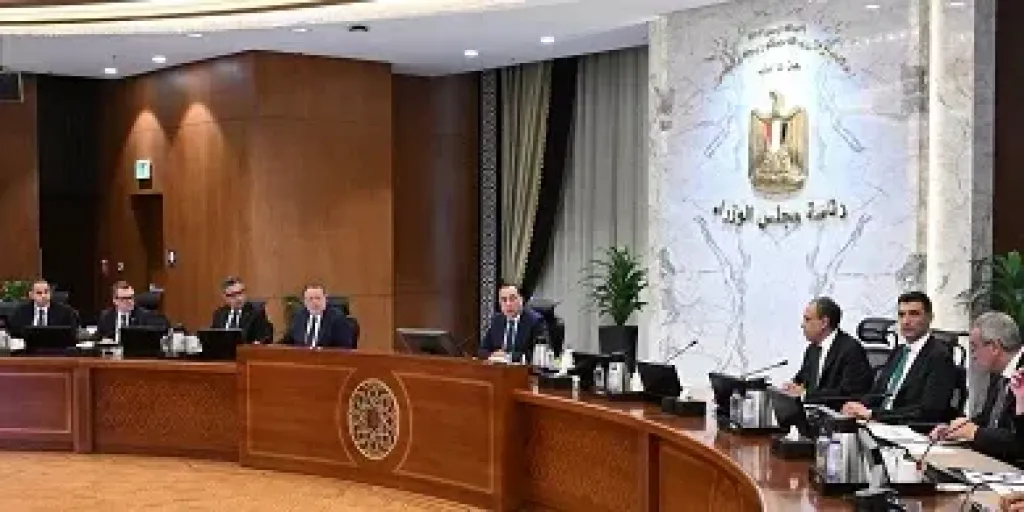 مدبولي يشدد على ضرورة توفير السلع الأساسية وطرح كميات كبيرة من اللحوم