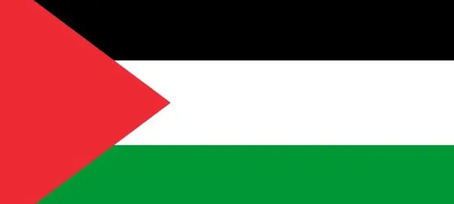 مسؤول فلسطيني: مصر شريان المساعدات النابض لإغاثة سكان قطاع غزة