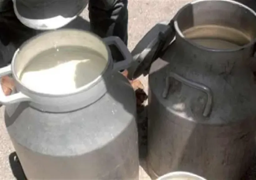 رئيس بحوث بالصحة الحيوانية: غياب الضمير وراء استخدام الفورمالين لإطالة صلاحية الألبان