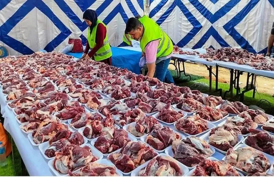 خريطة استعدادات الزراعة لـ”عيد الأضحى”.. طرح 15 ألف رأس ماشية وضخ سلع غذائية بخصومات تصل إلى 25%