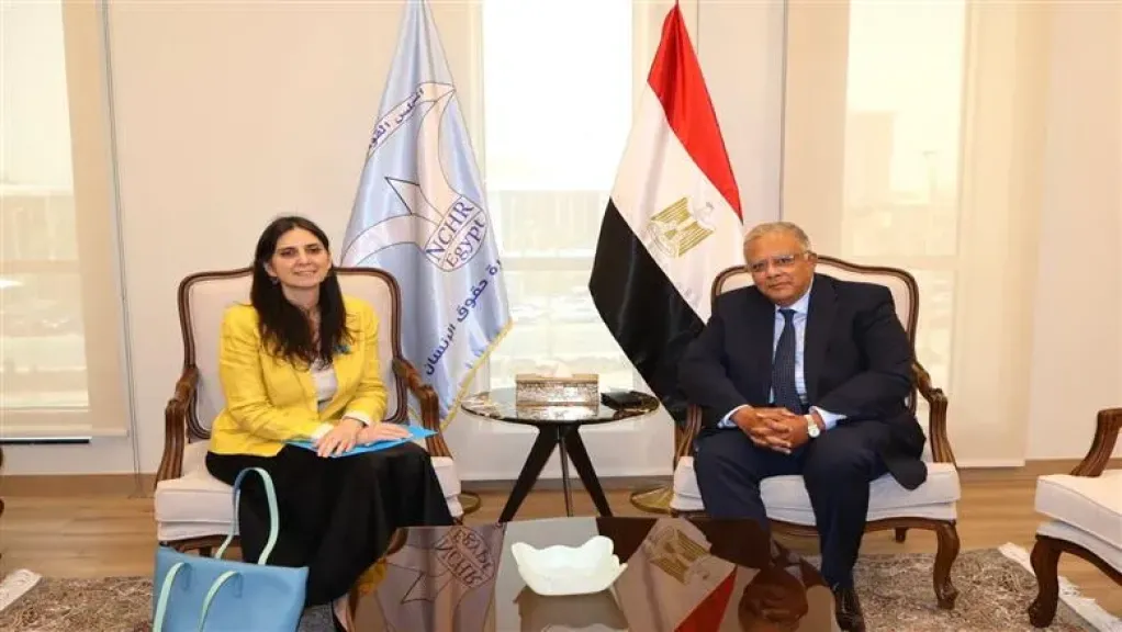 رئيس القومي لحقوق الإنسان يبحث مع ممثلة ”اليونيسف” سبل تعزيز حقوق الطفل في مصر