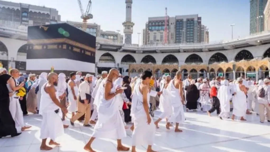 غرفة الشركات : تطبيق رفيق تطور مذهل في خدمات حجاج السياحة