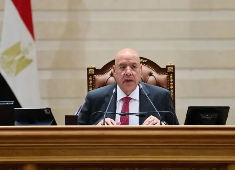المستشار هشام بدوي: أمن ليبيا من أمن مصر