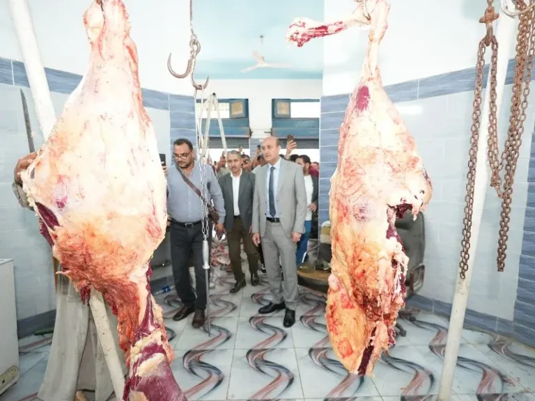 محافظ أسيوط يتابع توافر اللحوم ويتفقد منفذ الثروة الحيوانية بمنطقة السادات.. صور