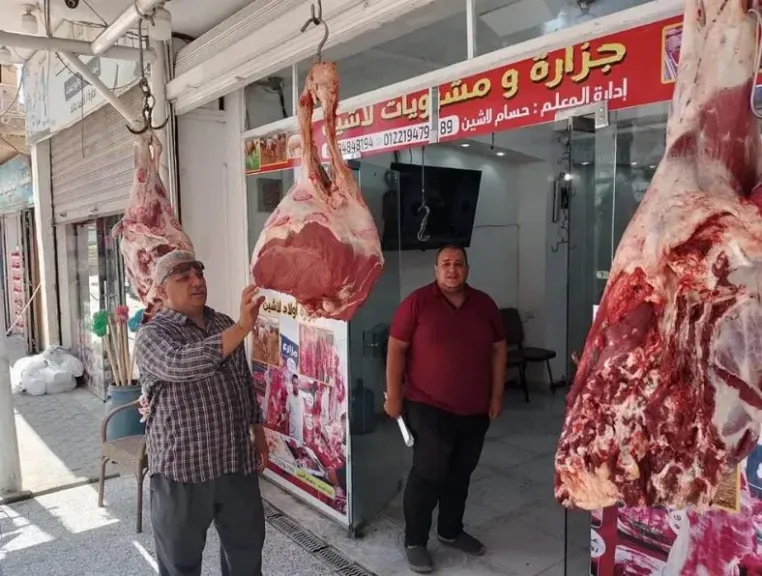تحرير 121 محضرا تموينيا وضبط لحوم فاسدة في حملات مكثفة بالمنوفية