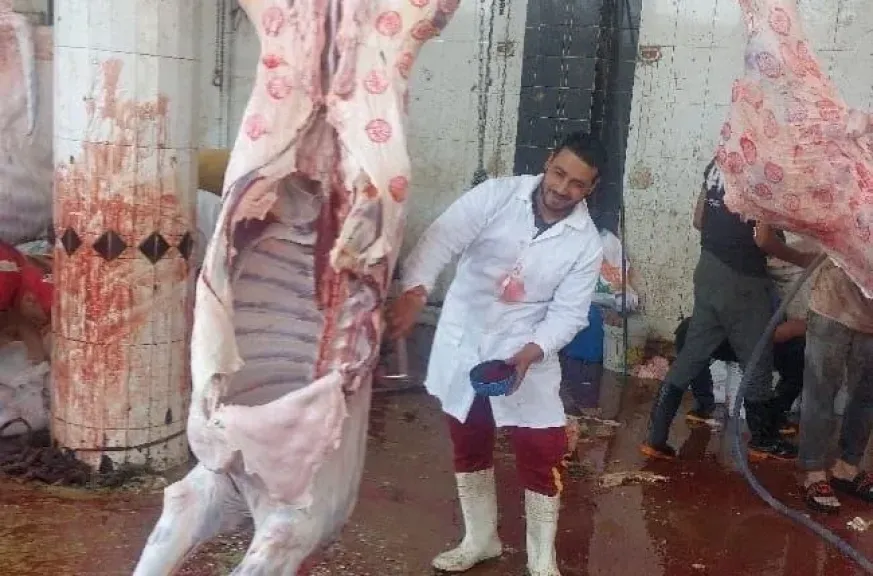 استمرار استقبال أضاحي المواطنين بالمجان في المجازر الحكومية طوال عيد الأضحى