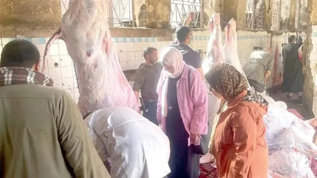 استشاري تغذية: تنظيم الوجبات وتجنب الإفراط في تناول اللحوم أمر ضروري