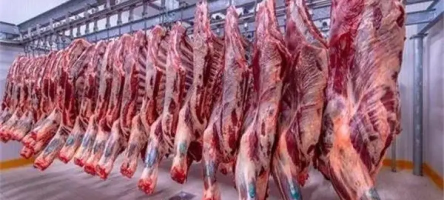 تصل لـ600 جنيه.. أسعار اللحوم اليوم الجمعة ثالث أيام عيد الأضحى