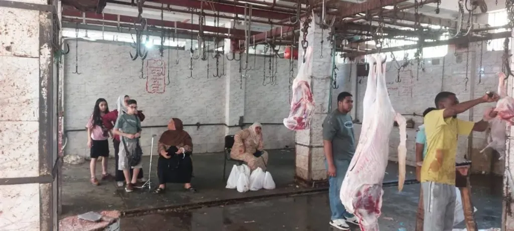 الزراعة: ذبح 35 ألفا و514 أضحية بالمجازر الحكومية مجانا للمواطنين خلال عيد الأضحى