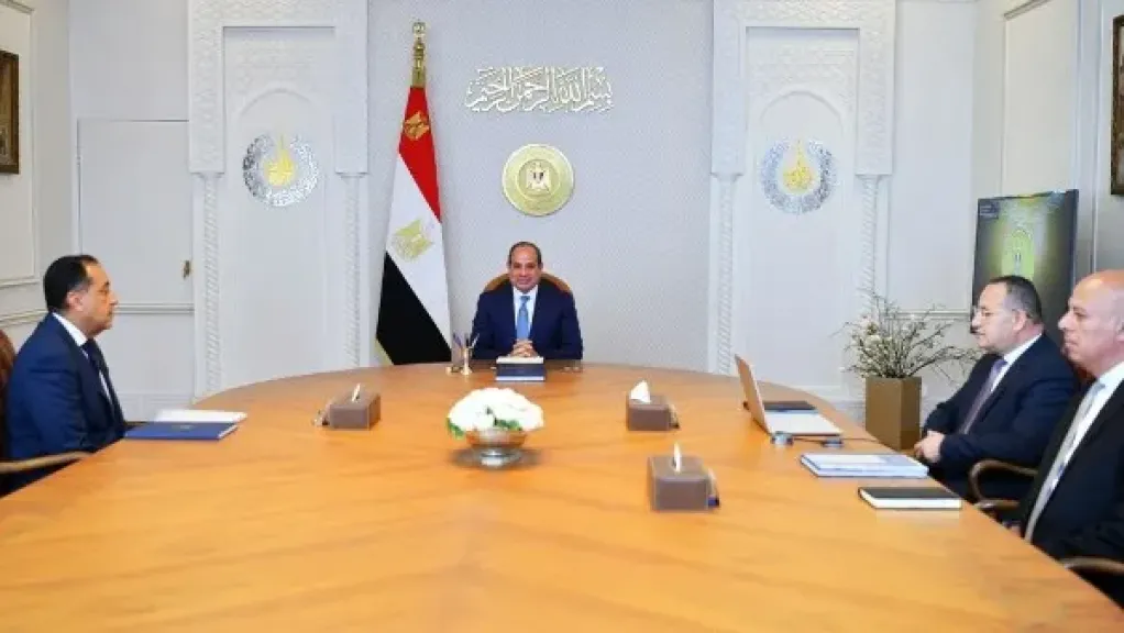 إنشاء فرع لجامعة القاهرة بإريتريا .. وزير التعليم العالي يستعرض أمام الرئيس المشروعات الصحية