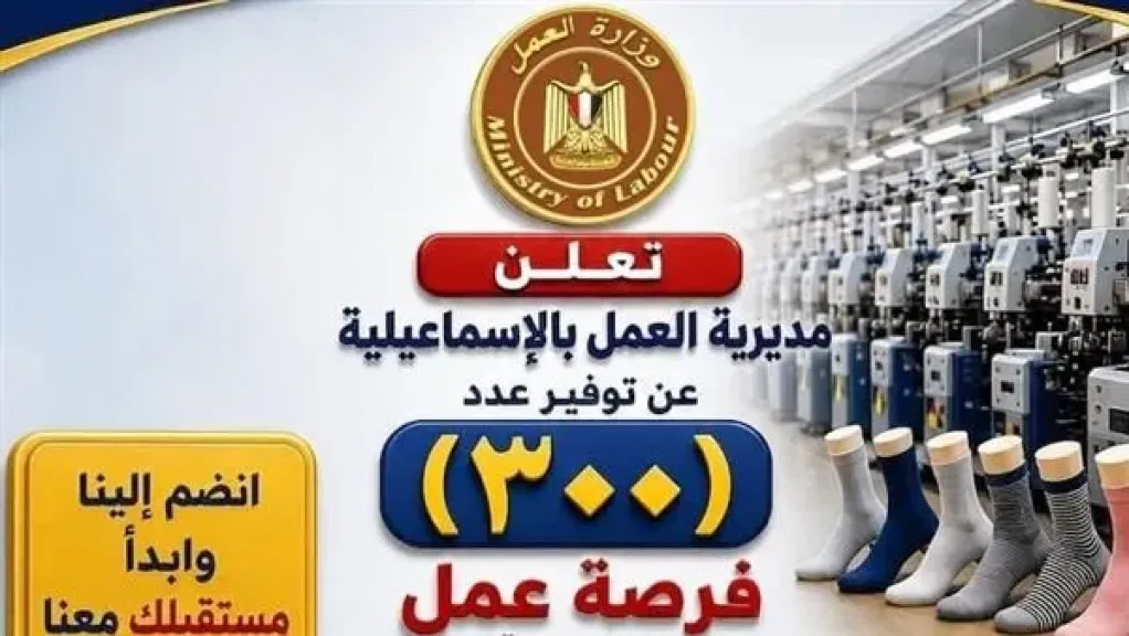 وزارة العمل تعلن عن وظائف جديدة للشباب بقطاع الغزل والنسيج بالإسماعيلية