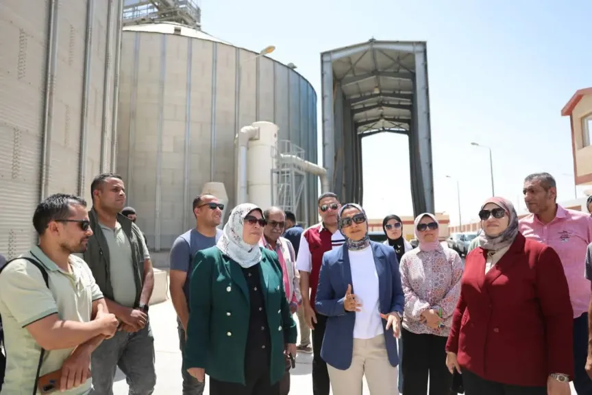 محافظ الوادي الجديد: توريد أكثر من نصف مليون طن قمح حتى الآن