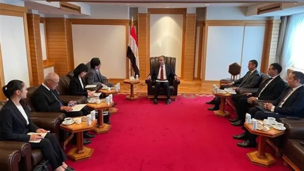 وزير الخارجية: مصر شهدت تطورا كبيرا في الاقتصاد والبنى التحتية