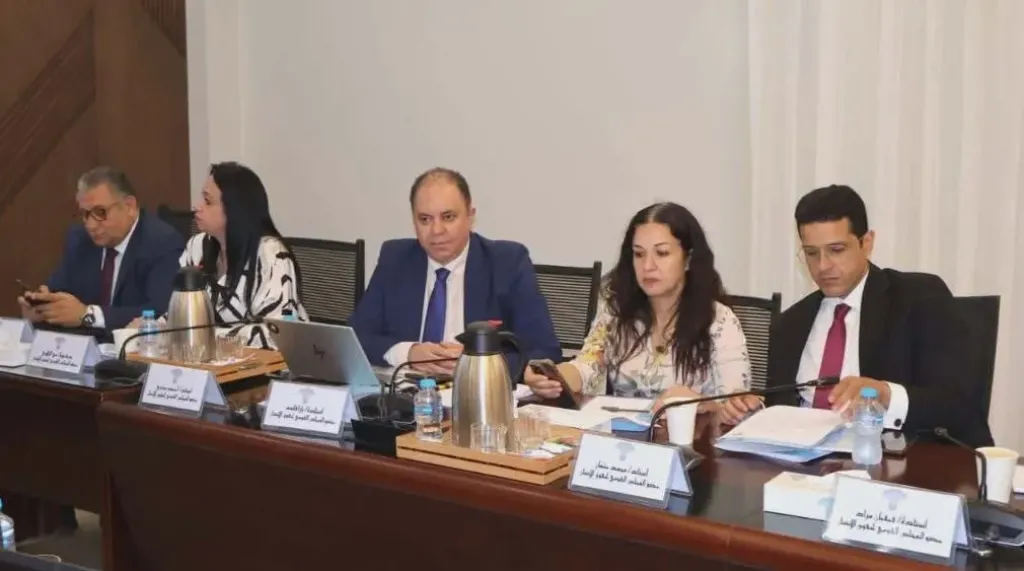 المجلس القومي لحقوق الإنسان يوافق على إنشاء لجنة لحقوق الإنسان في الفضاء الرقمي