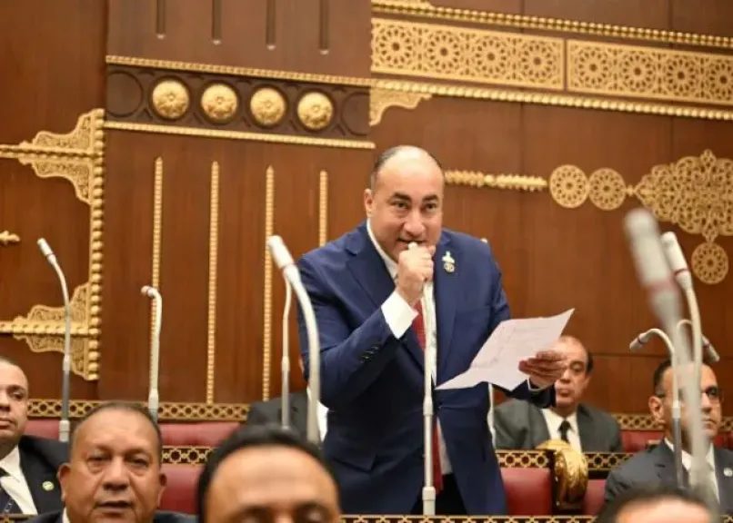 النائب عمرو رشاد يطالب بحضور محافظ الجيزة إلى مجلس الشيوخ لوضع حل جذري للمنطقة الصناعية بأبو رواش