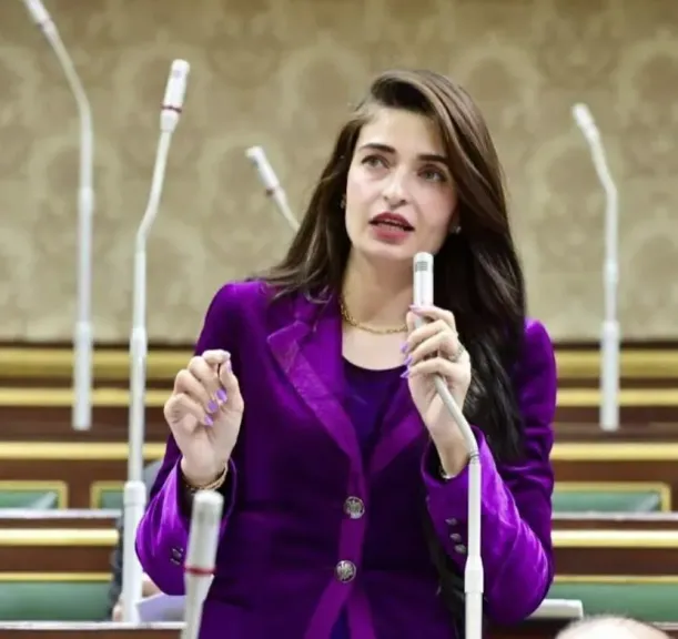 النائبة إيرين سعيد تشكر الشركة المتحدة على مسلسل كارثة طبيعية
