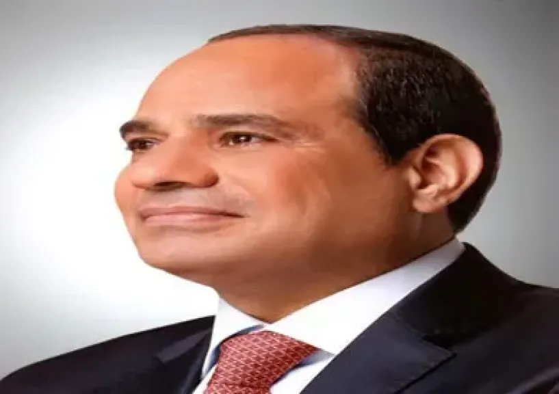 الرئيس السيسي يقدم التعازي لخادم الحرمين في ضحايا حادث سقوط طائرة أرامكو