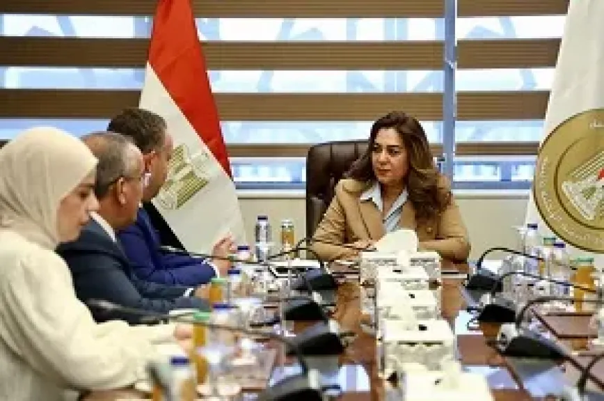 وزيرة التنمية المحلية تبحث مع نقيب المهندسين تعزيز التعاون في ملفات التصالح وتراخيص البناء