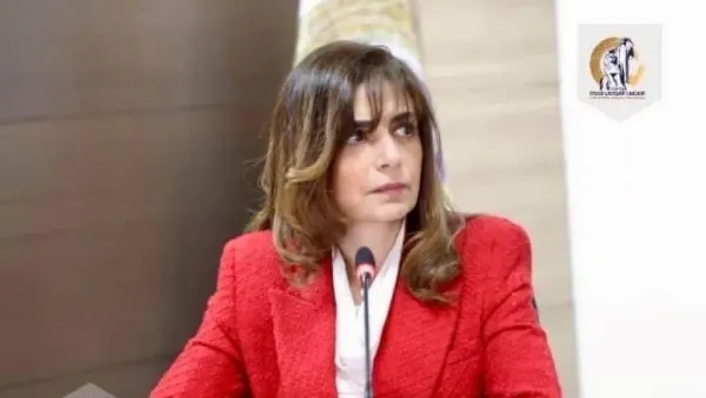 المجلس القومي للمرأة يُهنئ السفيرة ندى دراز بإعادة انتخابها لعضوية لجنة «سيداو» بالأمم المتحدة