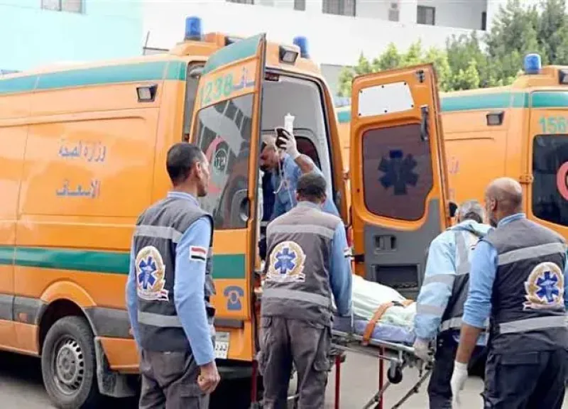 مصرع عاملين وإصابة 8 باختناق داخل مصنع مخللات بالمنيا