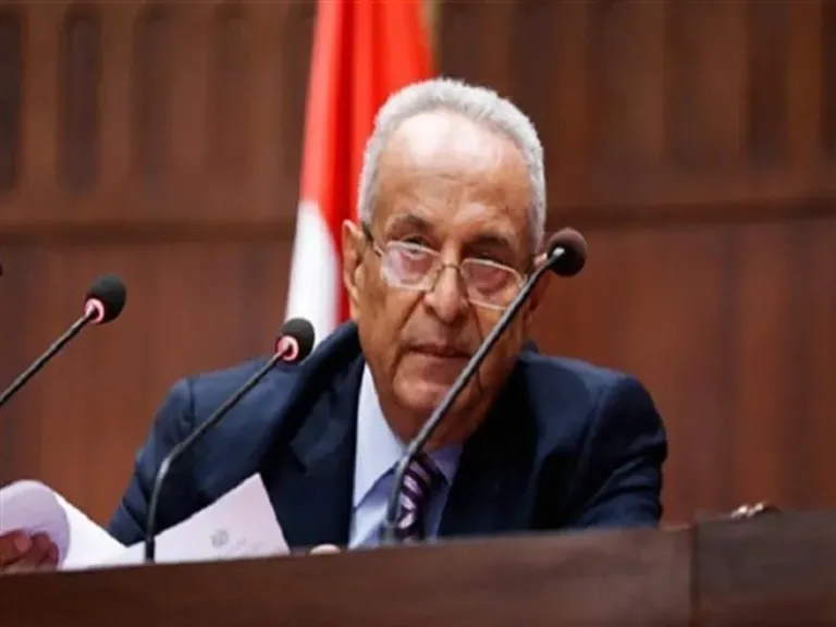 بهاء أبو شقة: مصر دخلت قبل 30 يونيو في دائرة الفوضى والسقوط