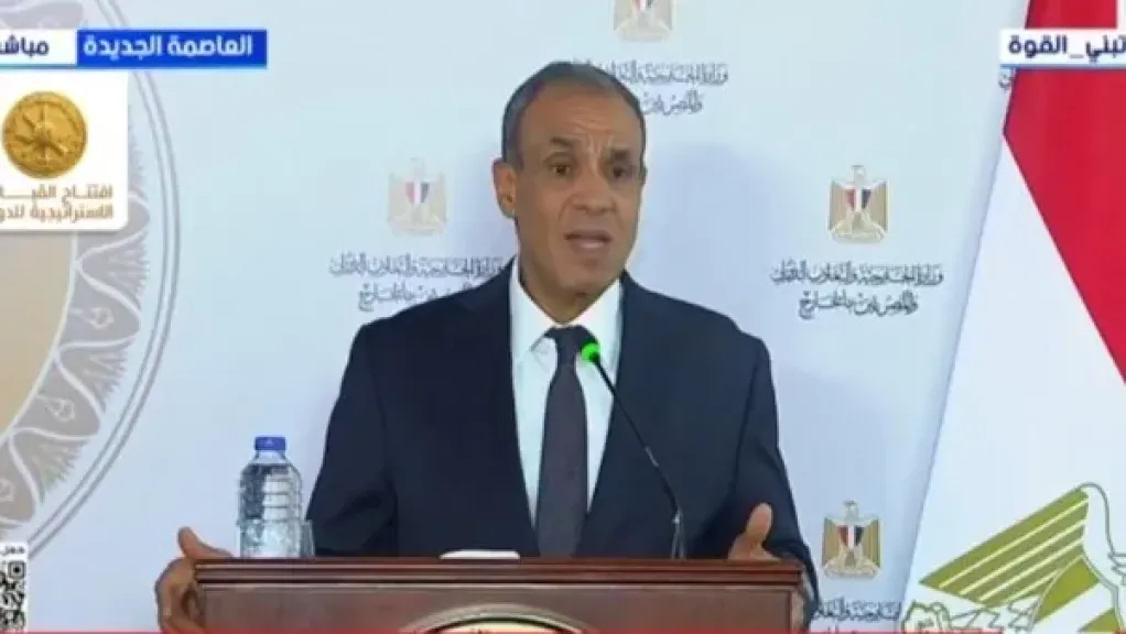 وزير الخارجية: مصر تكبدت خسائر بنحو 10.5 مليار دولار جراء تأثر الملاحة الدولية