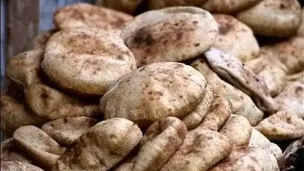 شعبة المخابز: بعض المواطنين يستخدمون الخبز المدعم كعلف للمواشي